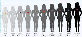 What Is The Average Height Of A Woman gambar png