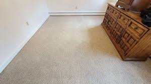 carpet cleaning san go it s all