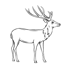 Deer Icon Wild Reindeer Outline Badge