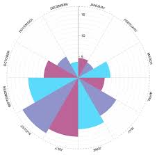 Peter Cook Radial Bar Chart Component For D3