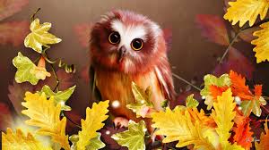 cute fall wallpaper 59 pictures