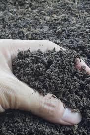 Potting Soil For Your Potted Plants
