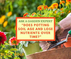 Potting Soil Age And Lose Nutrients
