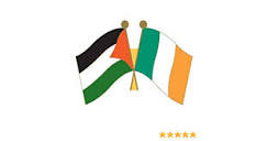 Amazon.com: Palestine & Ireland Flags Pin Badge Enamel Pin Badge ...