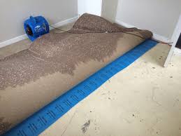 carpet cleaning repairs and flood
