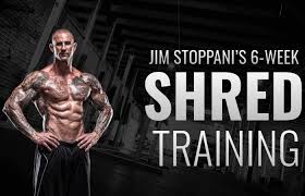 shred training workout plan