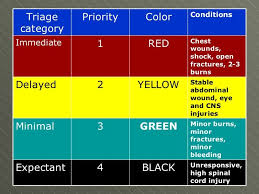 Severe widespread impact examples . Pin By Nicolle Baker On Jen S Emergency Critical Care Nursing Tips Emergency Nursing Critical Care Nursing Triage Nursing