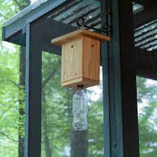 how to make a carpenter bee trap