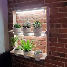 Hanging Plant Shelf Wall Mount With