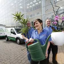 gardening near dobbies garden centre