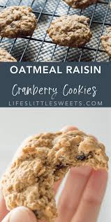 oatmeal raisin cranberry cookies the