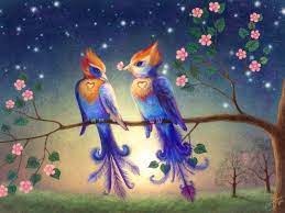 beautiful love birds images free