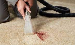 chandler carpet cleaning deals in and