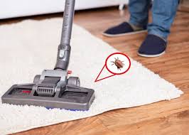 flea exterminator pest control in