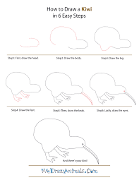 how to draw a kiwi