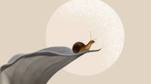 what is snail mucin benefits side