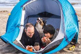 Maybe you would like to learn more about one of these? 4 413 Camping Dog Photos Free Royalty Free Stock Photos From Dreamstime