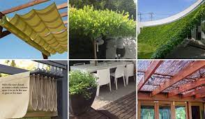 Bring Shade To Yard Or Patio