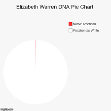 Visual Of Pocahontas Dna Results Imgflip