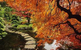 Zen Garden Stream Tree Path Garden