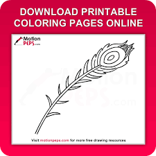 I'm pretty proud of how it turned out. Download Free Printable Peacock Feather Coloring Pages For Kids Online Coloringpeps