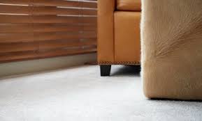 carpet cleaning in omaha deals up to