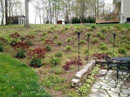 Need Landscaping Ideas For Steep Slope