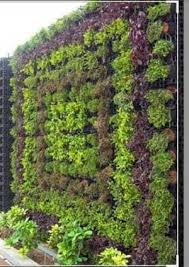 Planters Vertical Green Garden At Best