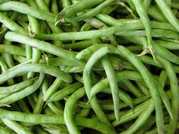 growing beans in home gardens umn