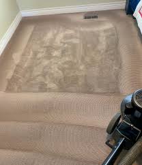 carpet cleaning riverton upholstery