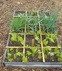 How To Make A Square Foot Garden