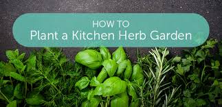 How To Plant A Kitchen Herb Garden