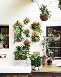 House Plants Decor Living Wall Garden