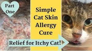 itchy inflamed skin allergy relief