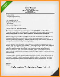 Information Technology Resume Writing Services CEO Technology Resume    