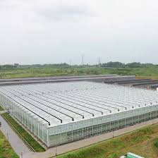 Multi Span Glass Greenhouse China