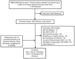 Figure 3 Literature Flow Chart Prevalence And