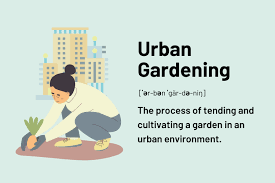 Urban Gardening What It Is Reasons