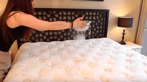 Matratze professionell reinigen lassen und zur matratzenreinigung oder matratzentiefenreinigung geben: So Reinigen Sie Eine Matratze Matratzenreinigung Leicht Gemacht