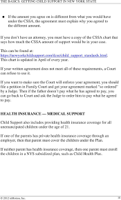 The Basics Getting Child Support In New York State Pdf
