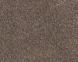 frieze carpet indoor carpet the