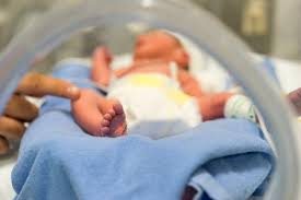 top 10 nicu gifts for preemies and