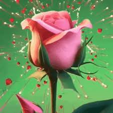 beautiful rose gif images mk gifs com