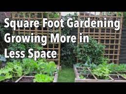 Square Foot Gardening Sfg Growing