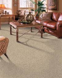 carpets plus color tile lino lakes