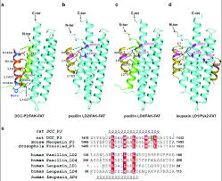 p3 fat complex with ld fat comple