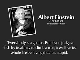 Famous einstein quotes abound online. Stupid Quotes Inspiration Boost