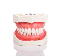Oral Health Basics Symptoms Types Causes More