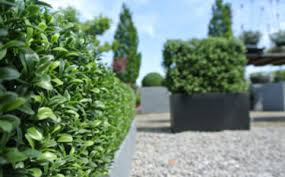 artificial hedge for the outdoors