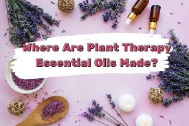 plant therapy essential oils made